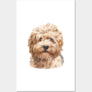 Red Havanese Watercolor Art Posters and Art